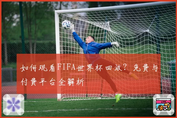 如何观看FIFA世界杯回放？免费与付费平台全解析