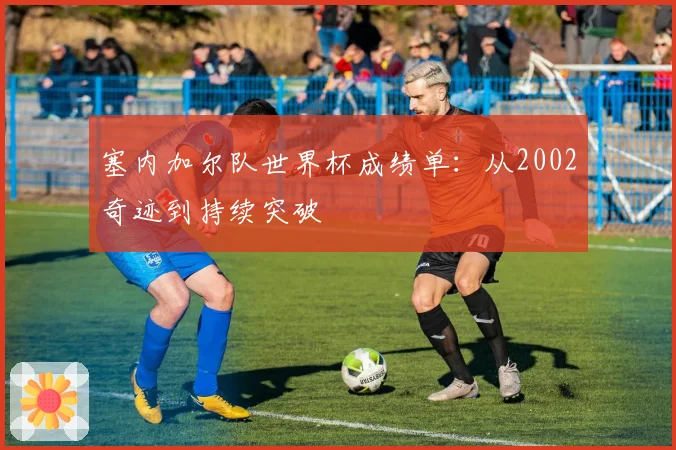 塞内加尔队世界杯成绩单:从2002奇迹到持续突破